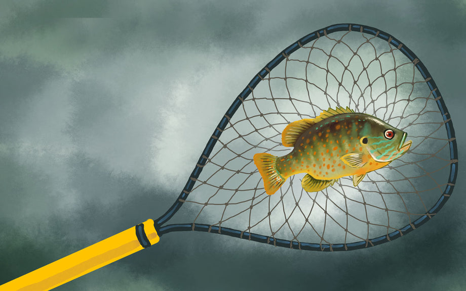 ★Fishing Life★プロフ必読 Fishing Life Plus] #1 I caught a big fish! New work started! I